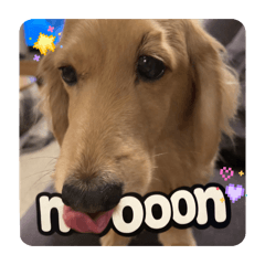 Noooon_20260215201157