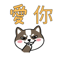 Taiwanese Japanese Badger 37