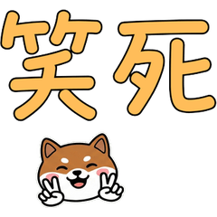 บาเซนจิ ไต้หวัน ดุ๊กดิ๊ก 38