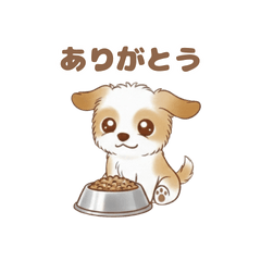 The Daily Life of a Cute Chiwapoo