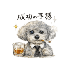 quiet studio_20260214194350