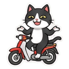 清邁中毒者:泰想住在這-Cat