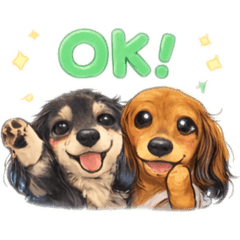 yuinyan._20260215165703