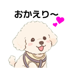 mobile greeting MOKO