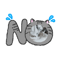 nobsan_20260216132055