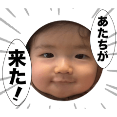 MsK_20260215210022
