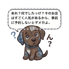 Custom Text: Patchwork Chocolate Lab