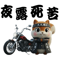 Cute Squirrel: Reality & Desire.2