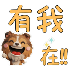 Taiwanese Shetland Sheepdog 39