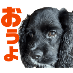 fujiko_20260215180048