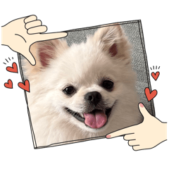 おとうふさん‼️