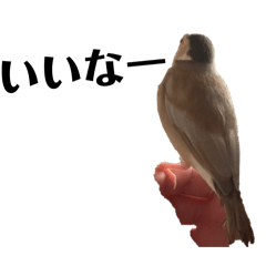 Shumonaka_20260214215907