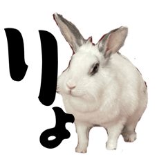 senchiyo_20260214215302