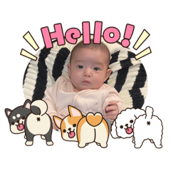 Haruki_20260214223613