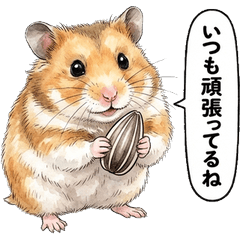 全肯定倉鼠水彩貼圖