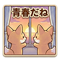 Fuku Fuku Fox: School Life & Youth