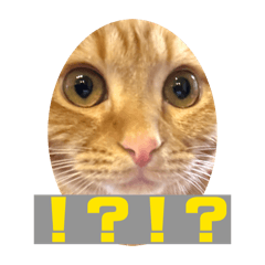 Yukie_20260213115528