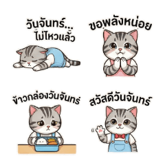 The Mischievous Little Tabby Cat Gang