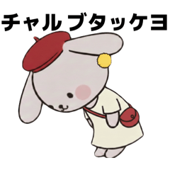 Charly charly_20260212150012