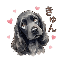 イングリッシュコッカー・Black 2