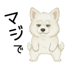 Empty-eyed Doggie's Daily Life1