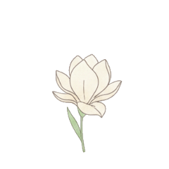 kazkaz_20260216010049