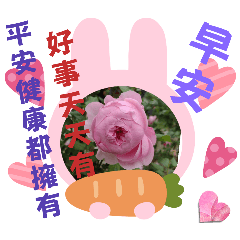 早安貼圖_40_02162026