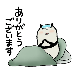 Mame panda : Physical  condition