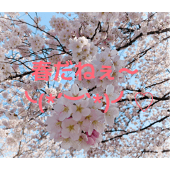 KANA_20260213132455