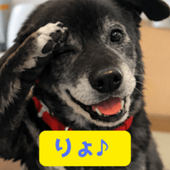 Title: Happy Dog Stickers