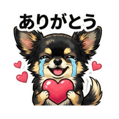 SUNNY_20260215084907