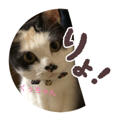 natsuki_20260215104541