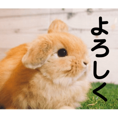 Takedakouya_20260215103110