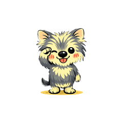 CuteYorkie