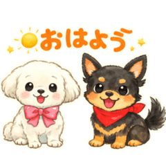 MIKAN_20260215111408