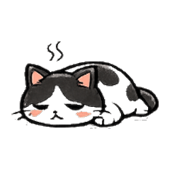 Void cat Lazy Cat Life