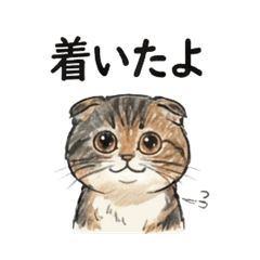 Support Your Life! Hardworking Cat