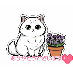NANASHOP_20260215132837