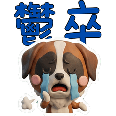 Moving Taiwanese Saint Bernard 40