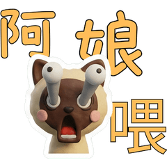 Moving Taiwanese Tonkinese Cat 40