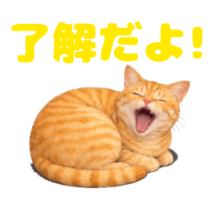 kakanon_20260215135319