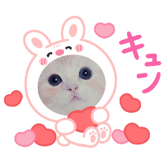 にゃんこで顔はめスタンプ