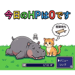 Hippos & cats braving the real world