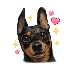 sorasan_20260215153228