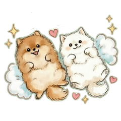 [Fluffy] Pomeranians