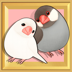 [Java sparrow] Pop-up!Happy Moments