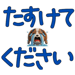 สุนัขบาสเซ็ต ฮาวด์ สุภาพ 29