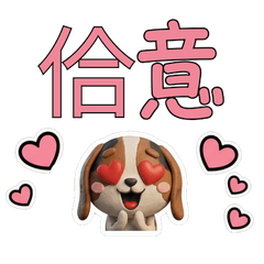 สุนัขบาสเซ็ต ฮาวด์ ไต้หวัน 39