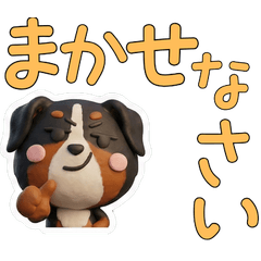 สุนัขเบอร์นีส เมาน์เทนด็อก สุภาพ 29