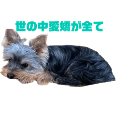 Betty_20260215171834